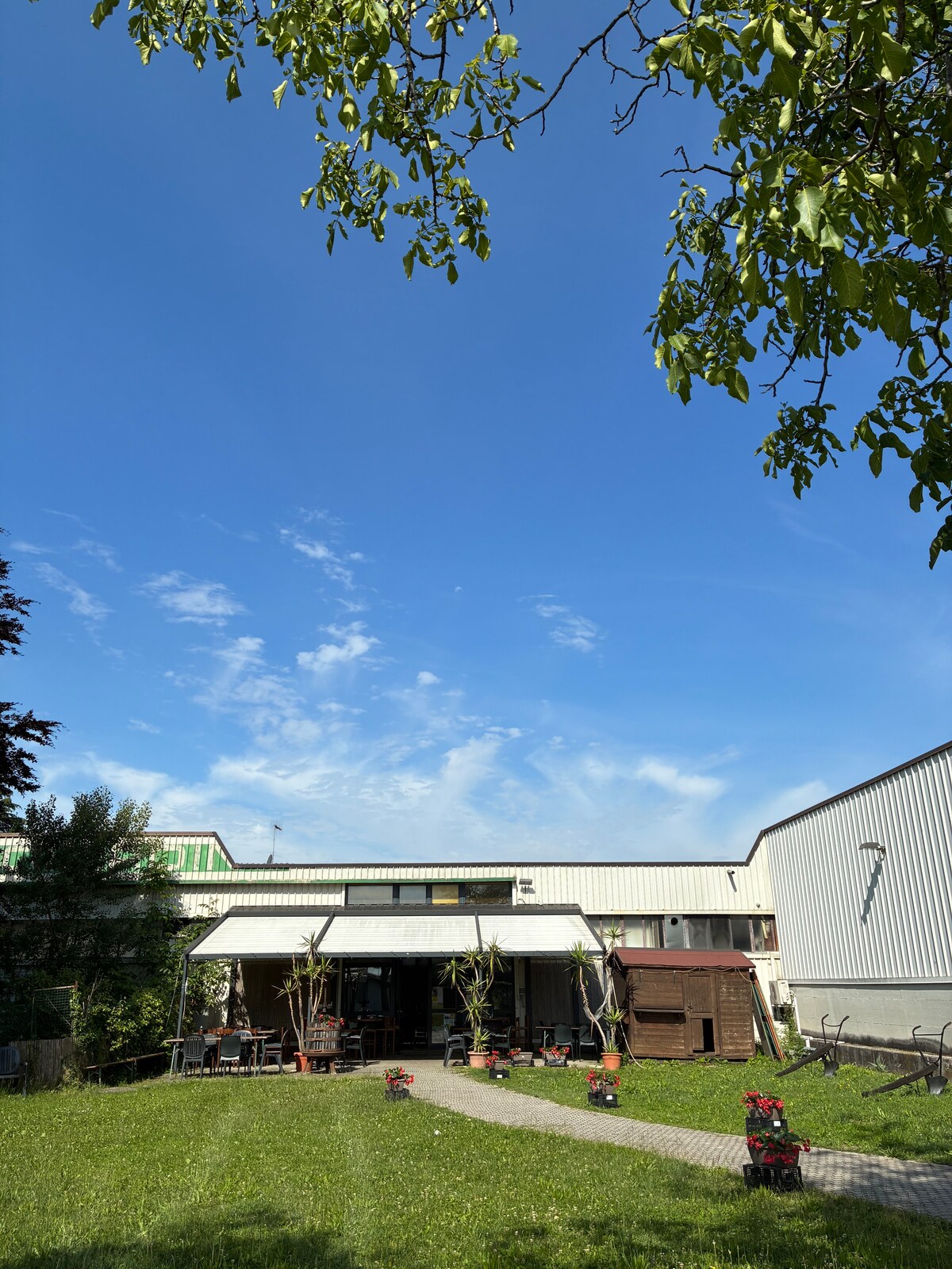 Tavagnacco’s origins asparagus experience