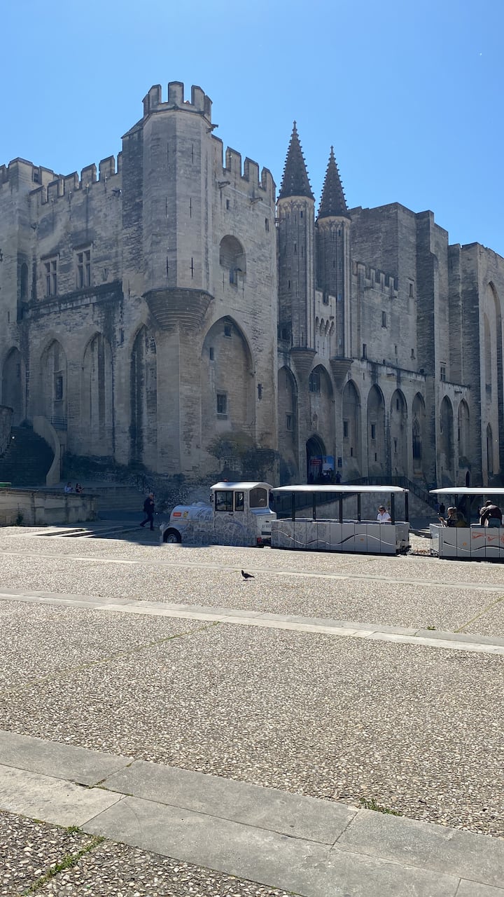 Visita histórica y cultural de Marsella