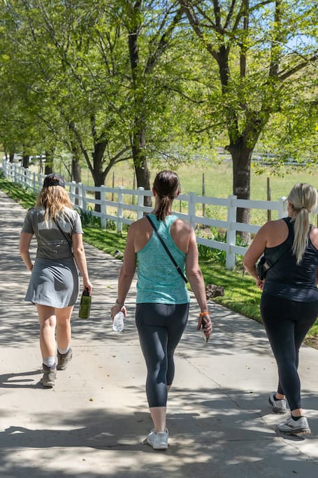 Hike a hidden vineyard to a guided wine tasting