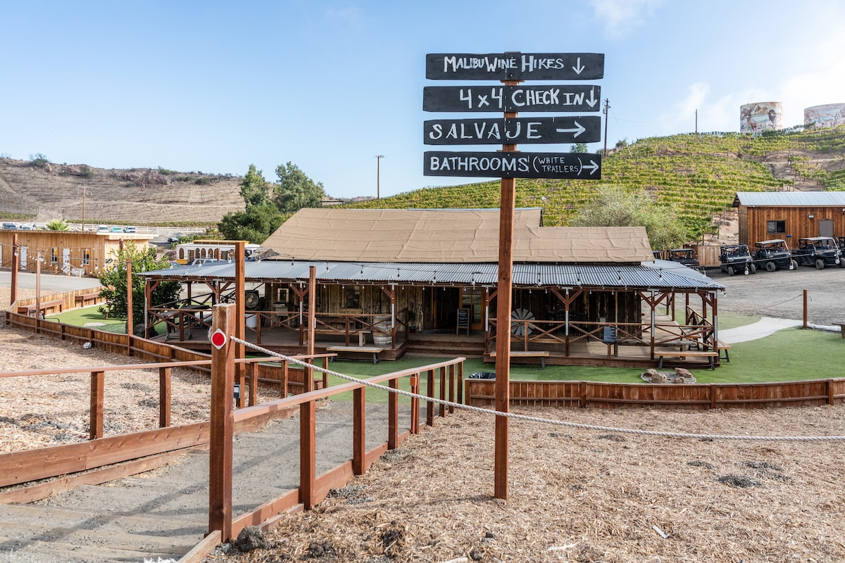 Hike a hidden vineyard to a guided wine tasting