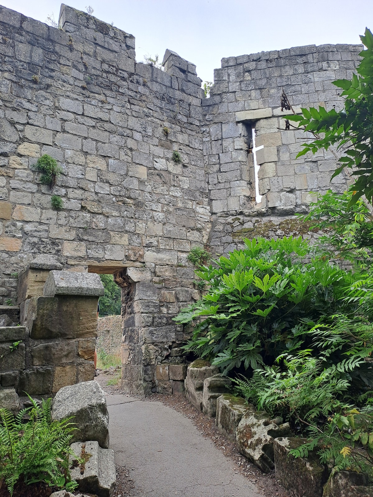 Explore the Craft Beer and Crooked Streets of York