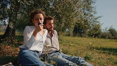 Prueba los vinos y aceites de oliva de Castelli Romani