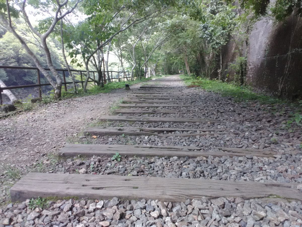 Explore an abandoned railway