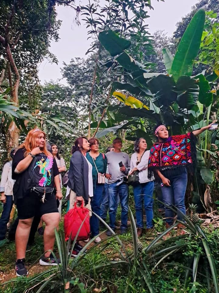 Გაეცანით კუეცალანის კულტურებს საზოგადოებასთან ერთად