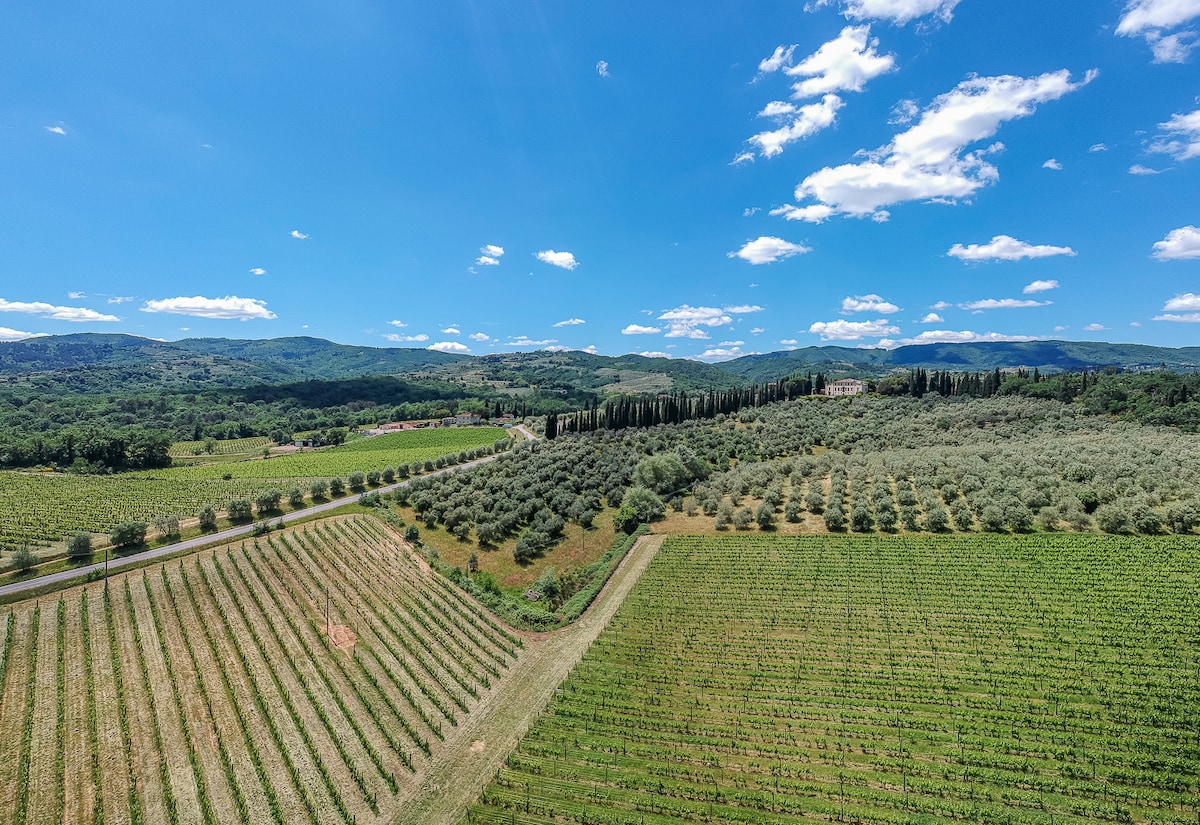 Wine and Oil Essence tour