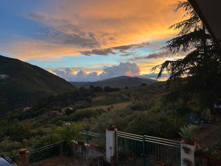 Shëtitje nëpër barëra të egra dhe ilustrime