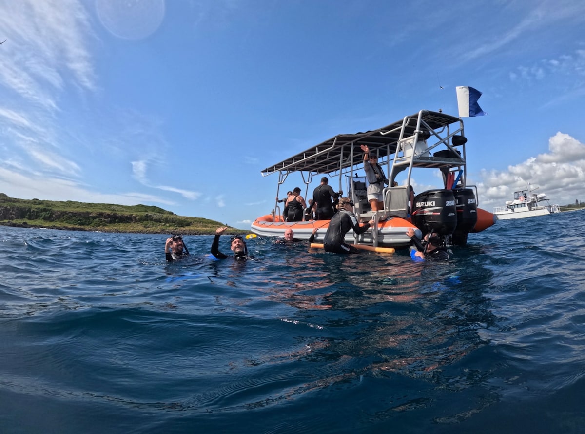 Swim with Turtles 
- Cooly Eco Adventures