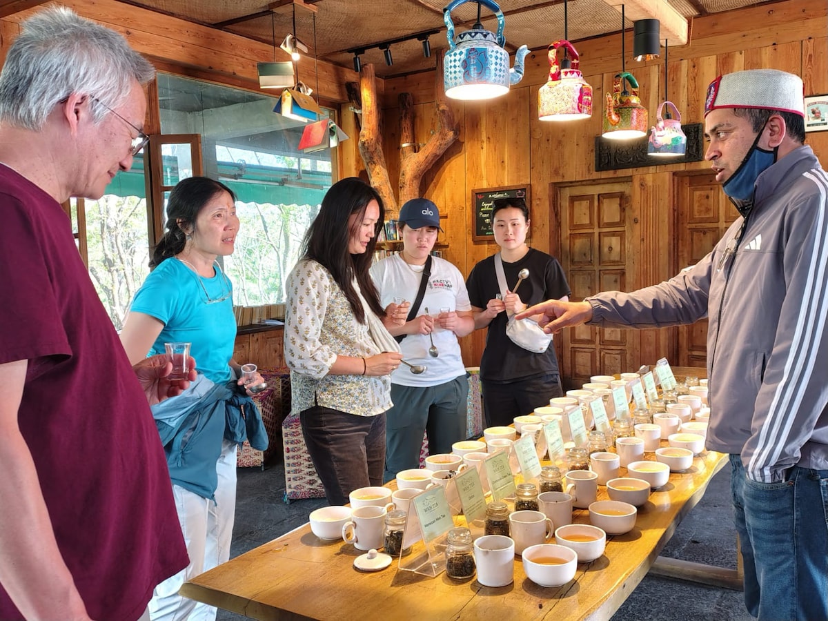 Himalayan Tea Plantation & Artists Village Tour
