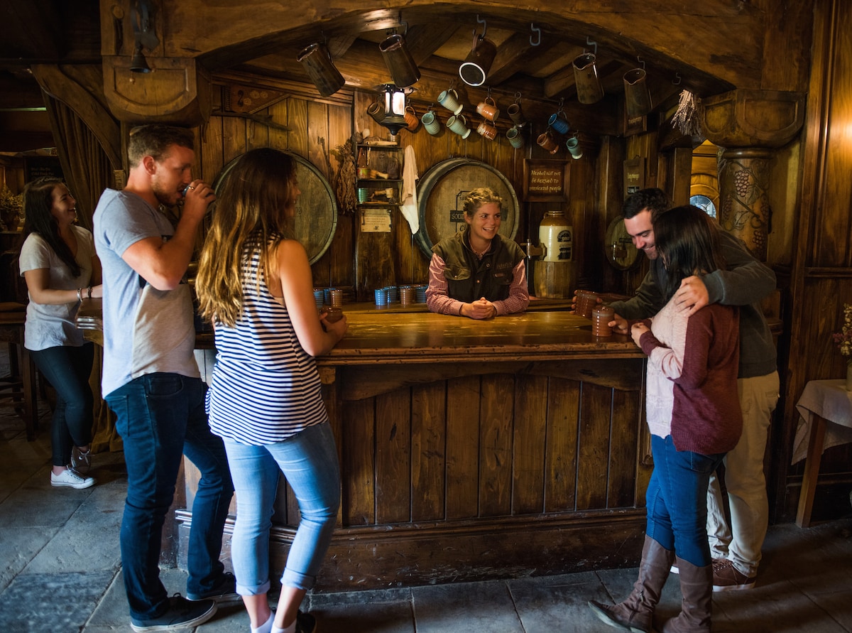 Hobbiton Movie Set Small Group Tour from Auckland