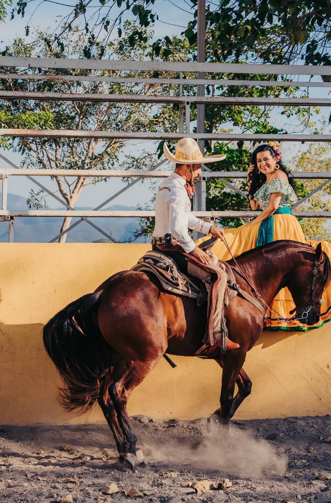 Experience dressage and horseback riding with an expert guide