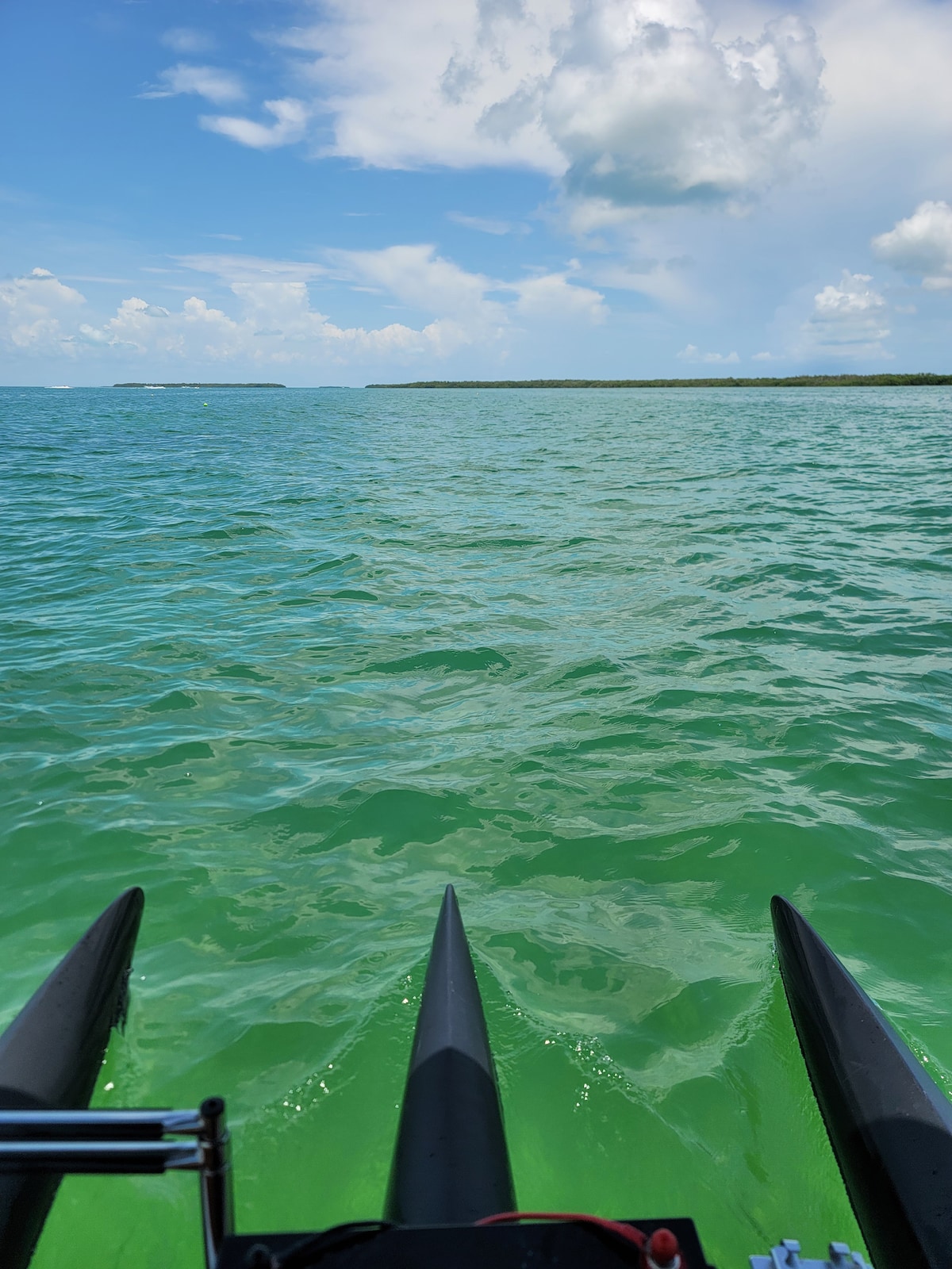 Explore Key Largo’s hidden creeks & beach