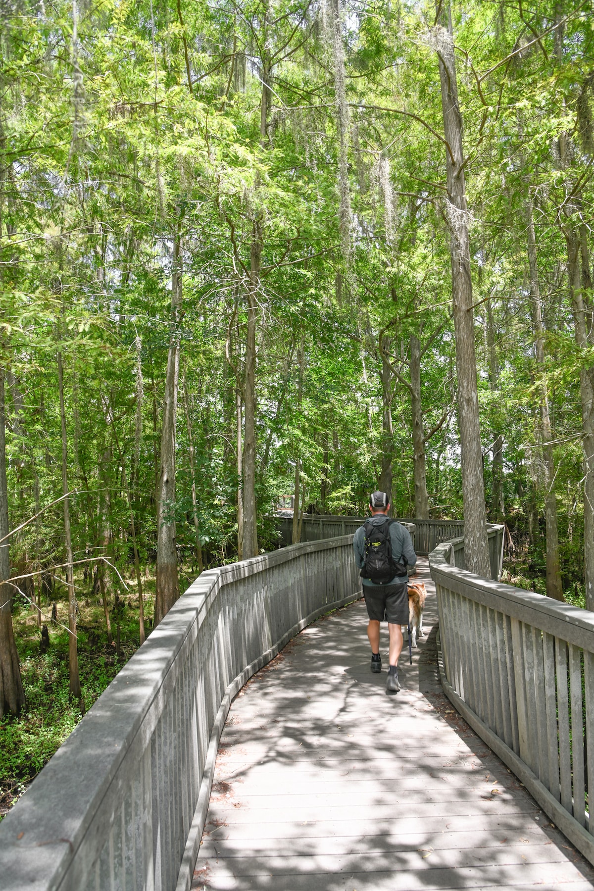 Florida wildlife hike with a pro photographer