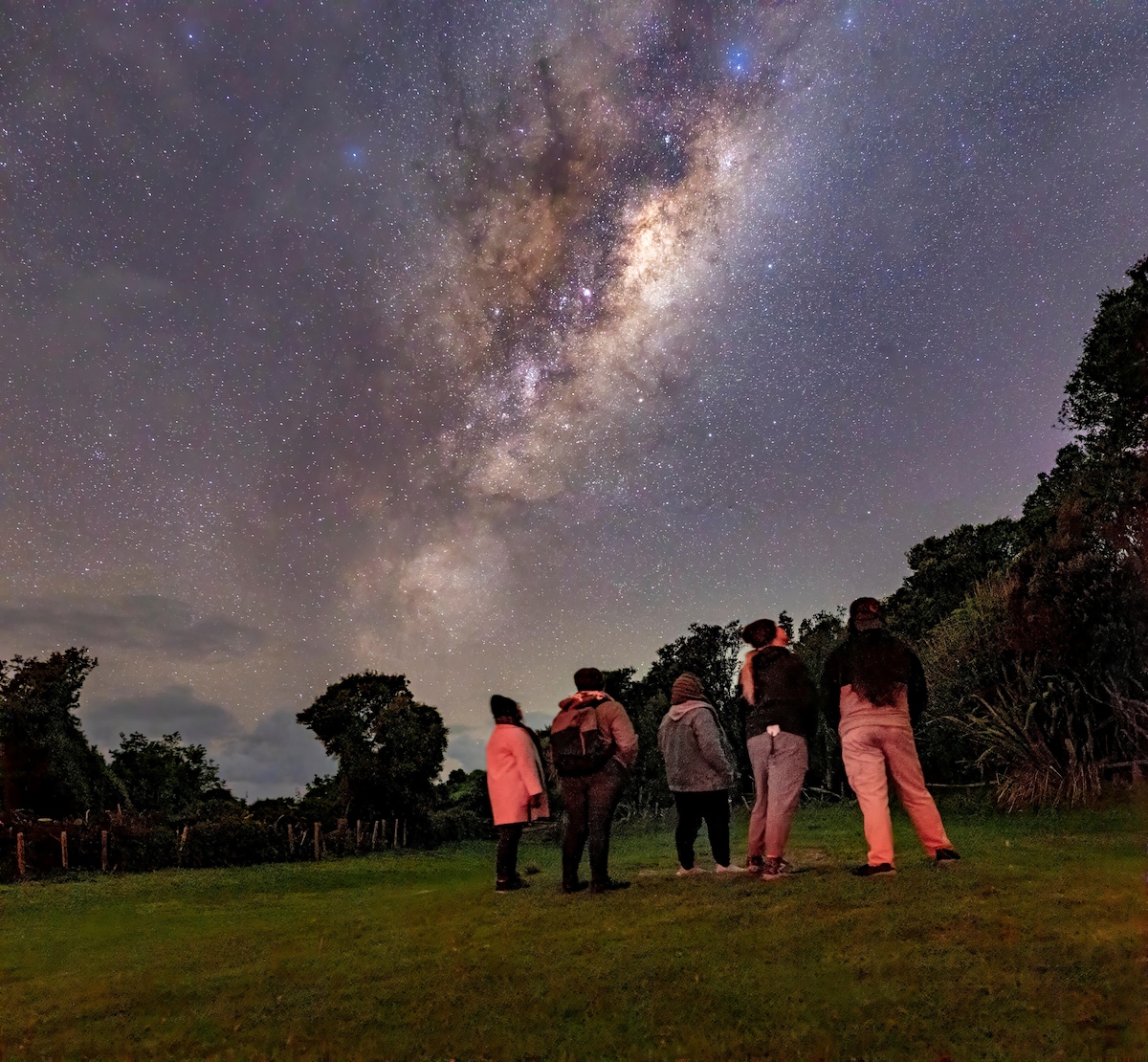 Auckland Kiwi Spotting and Stargazing