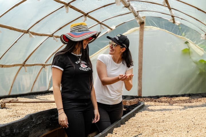 Shëtitje private në Guatapé dhe në një fermë kafeje