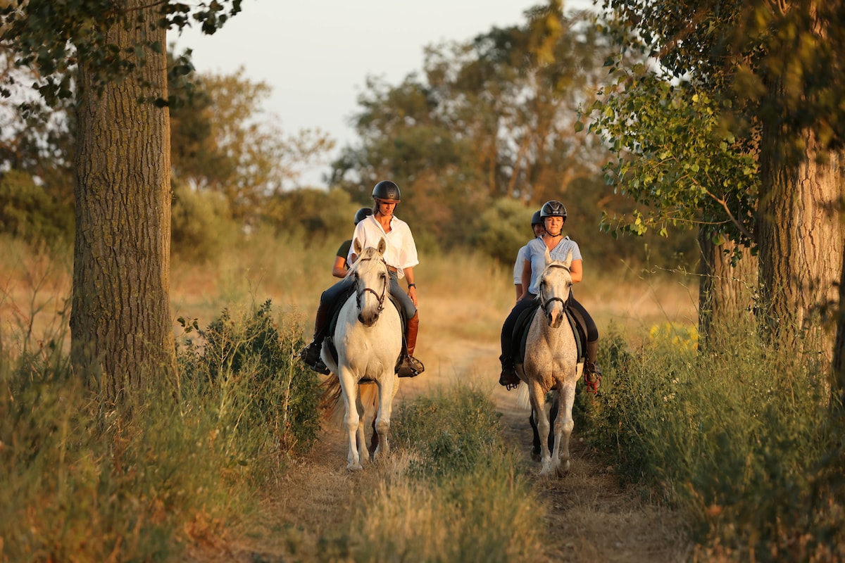 Ride a horse and enjoy the best Spanish wine