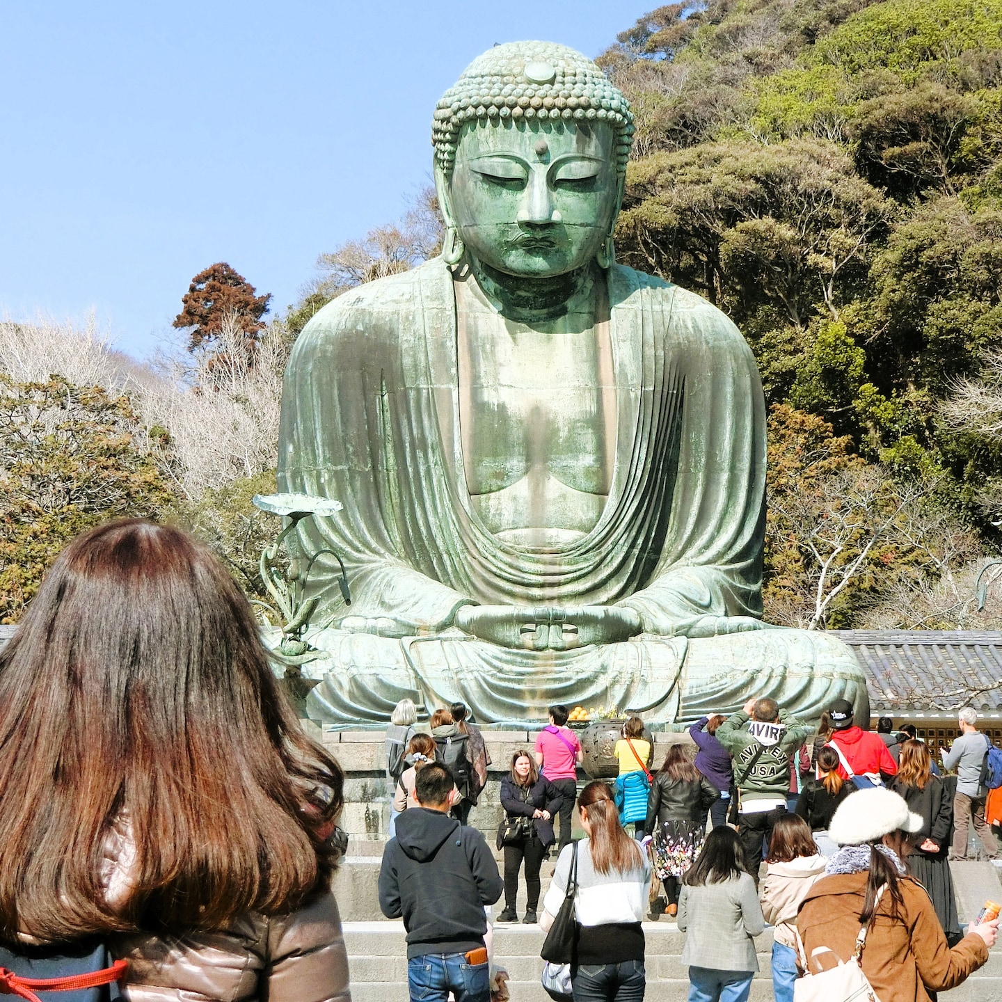 Kamakura Great Buddha, Bamboo & Zen Shrine Walk · ☆4.96