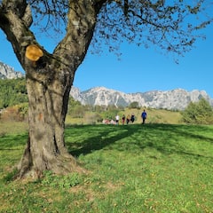 Circuit des Grands Arbres des Montagnole di Recoaro