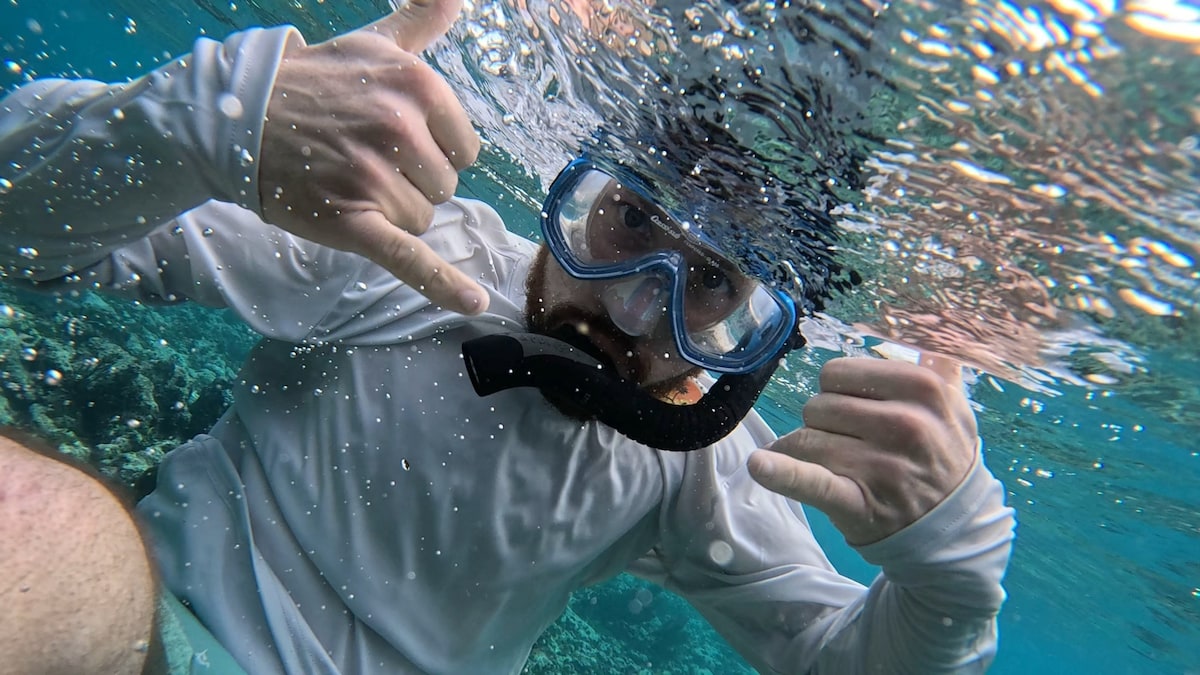 4-Hour Private Snorkel Charters