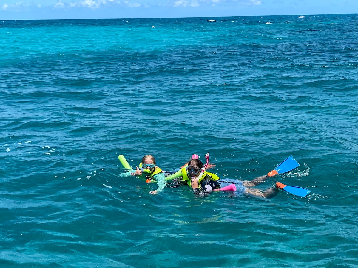4-Hour Private Snorkel Charters