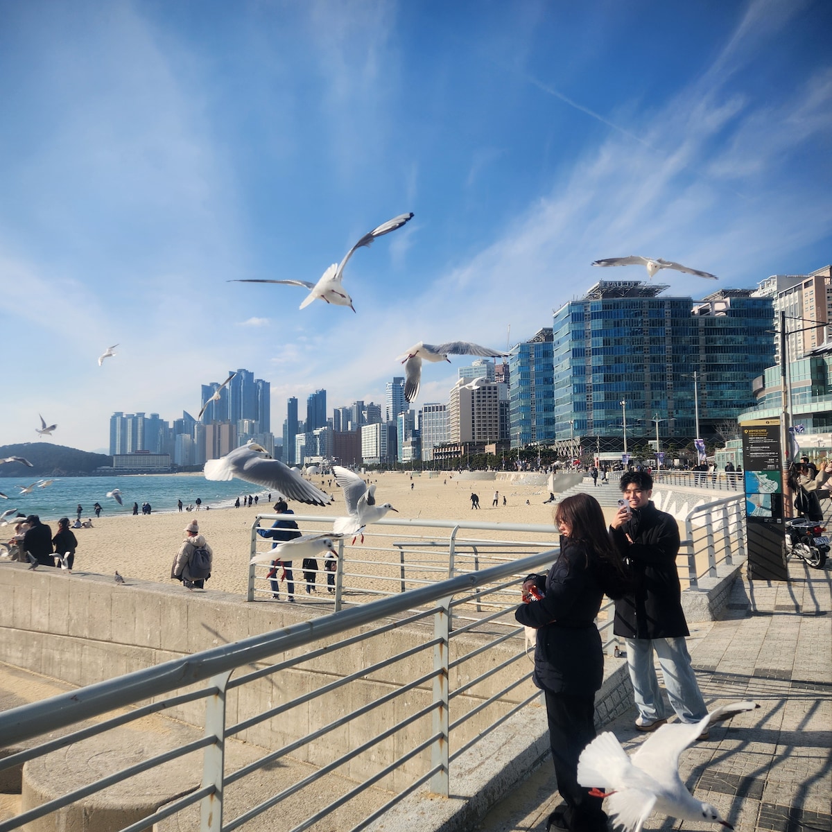 [Hotel Pick-up] Local Busan Moments Private Tour