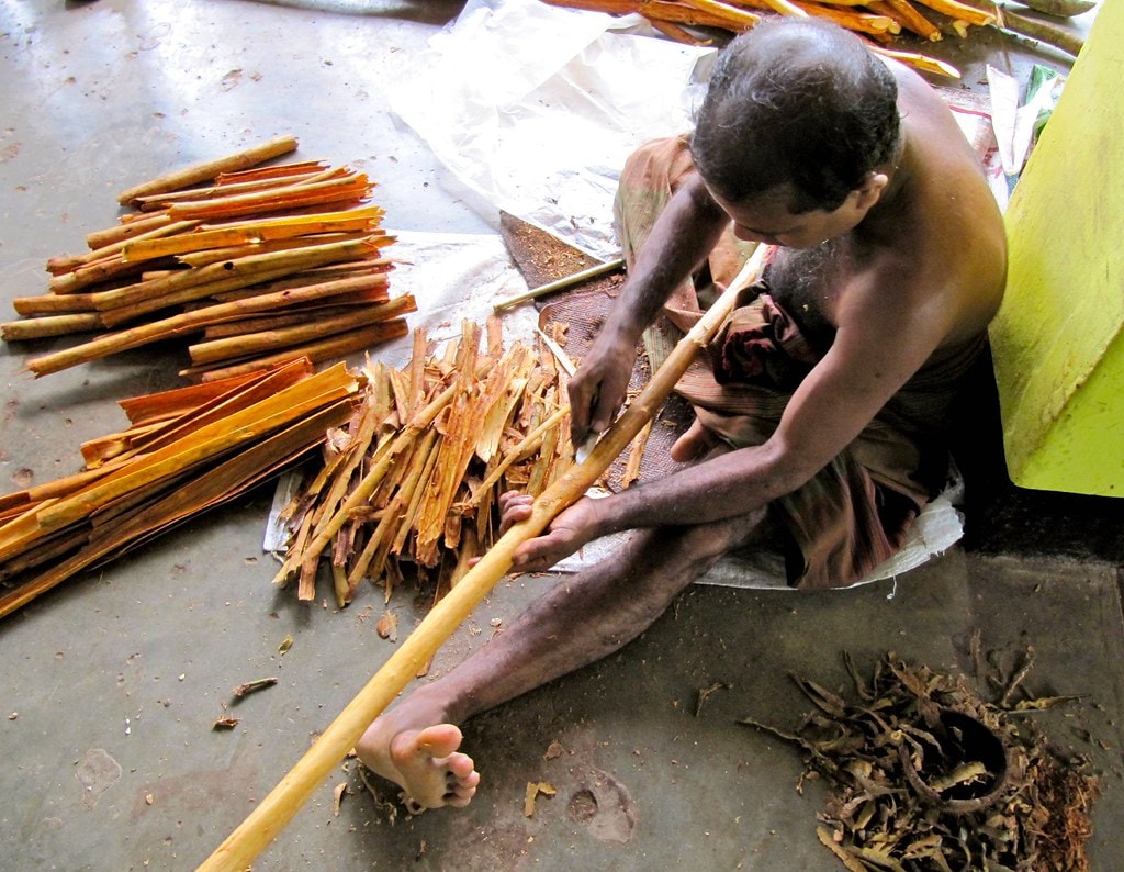 Discover The Pure Treasure Of Ceylon Cinnamon