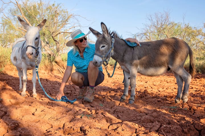 Пешеходен туризъм в западната част на Тексас с очарователни магарета