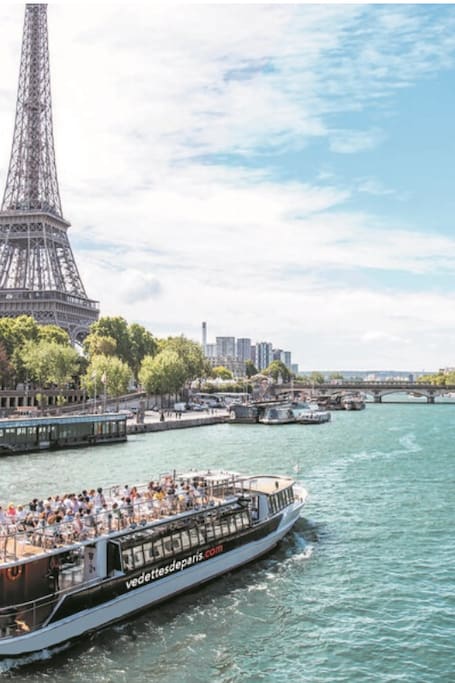 Eiffel Tower to Top & Seine River Cruise
