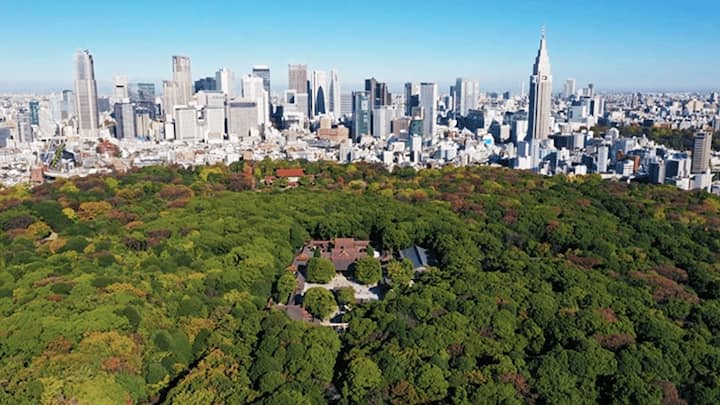 Токио: храмът „Мейджи“ – шинтоизъм и императорска система