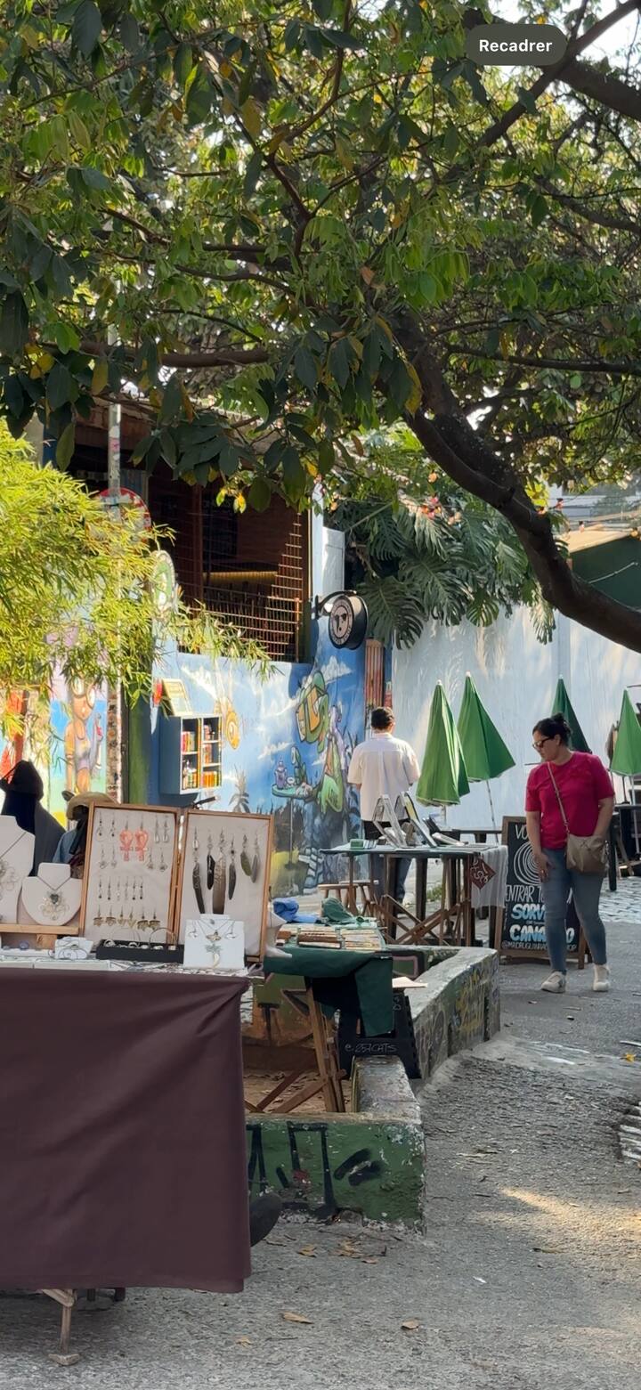 Udhëzues privat në Sao Paulo, përvoja ekskluzive