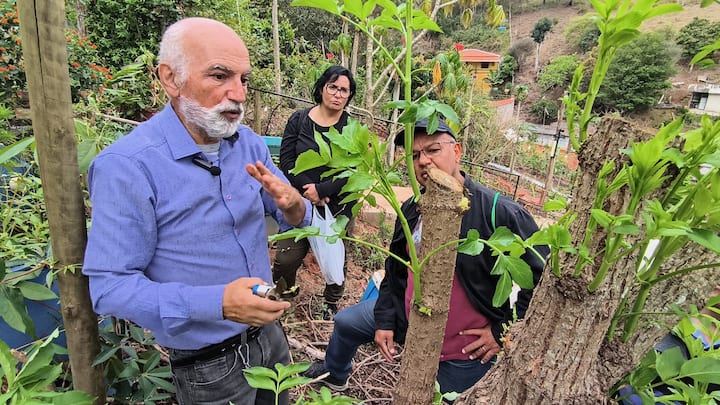 Научете се да имате овощна градина