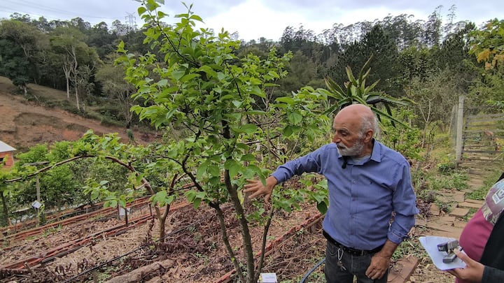 Научете се да имате овощна градина