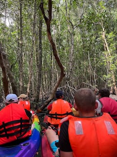 พายเรือคายัคและว่ายน้ำในป่าวัลลาลังกาวี