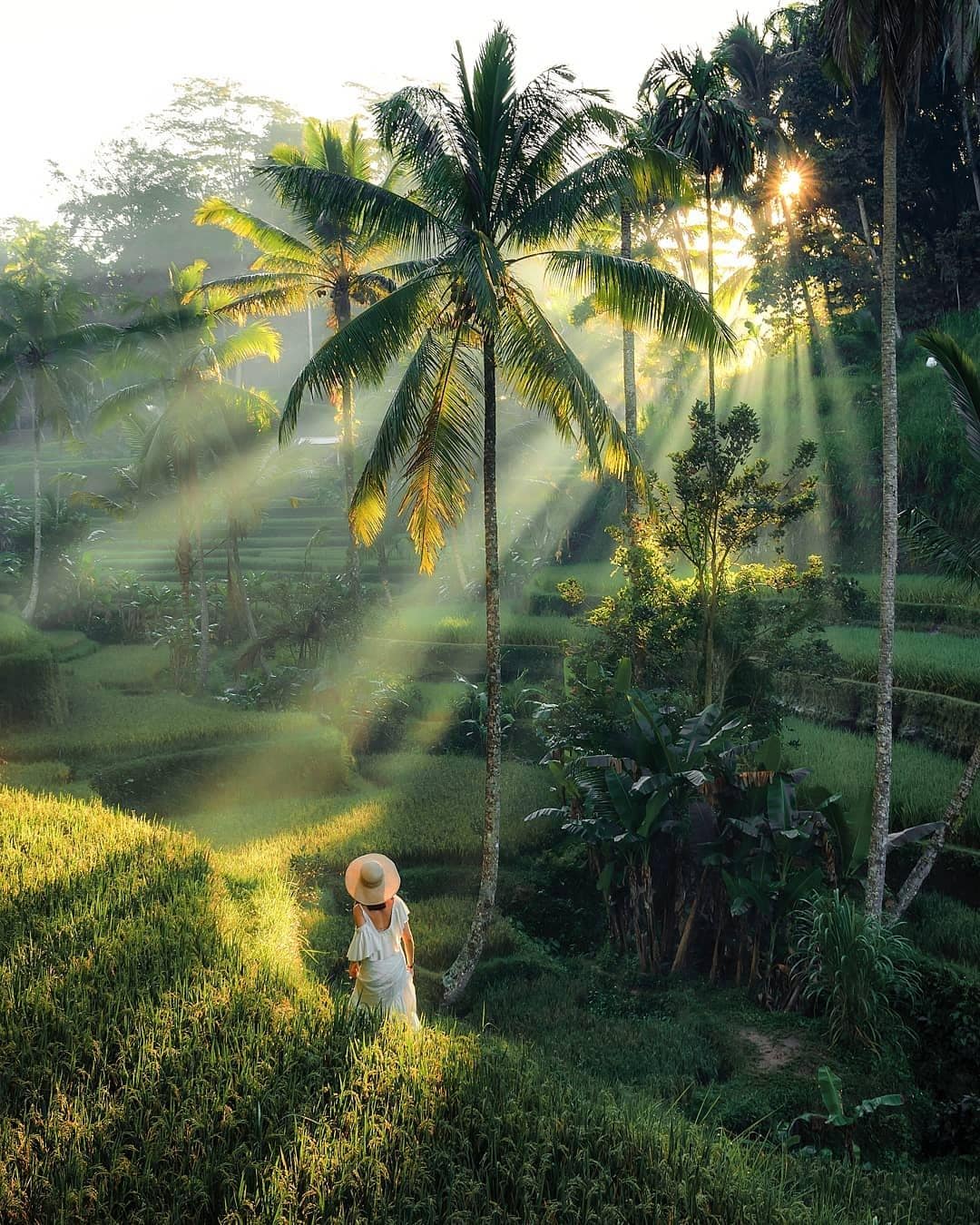 Private Ubud Customized Tour with Hotel transfer