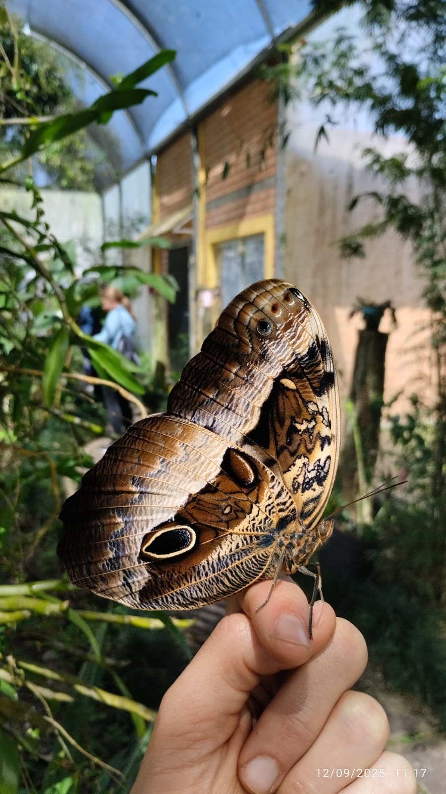 Visit to the Butterfly House and leisure in the Serelepe Reserve
