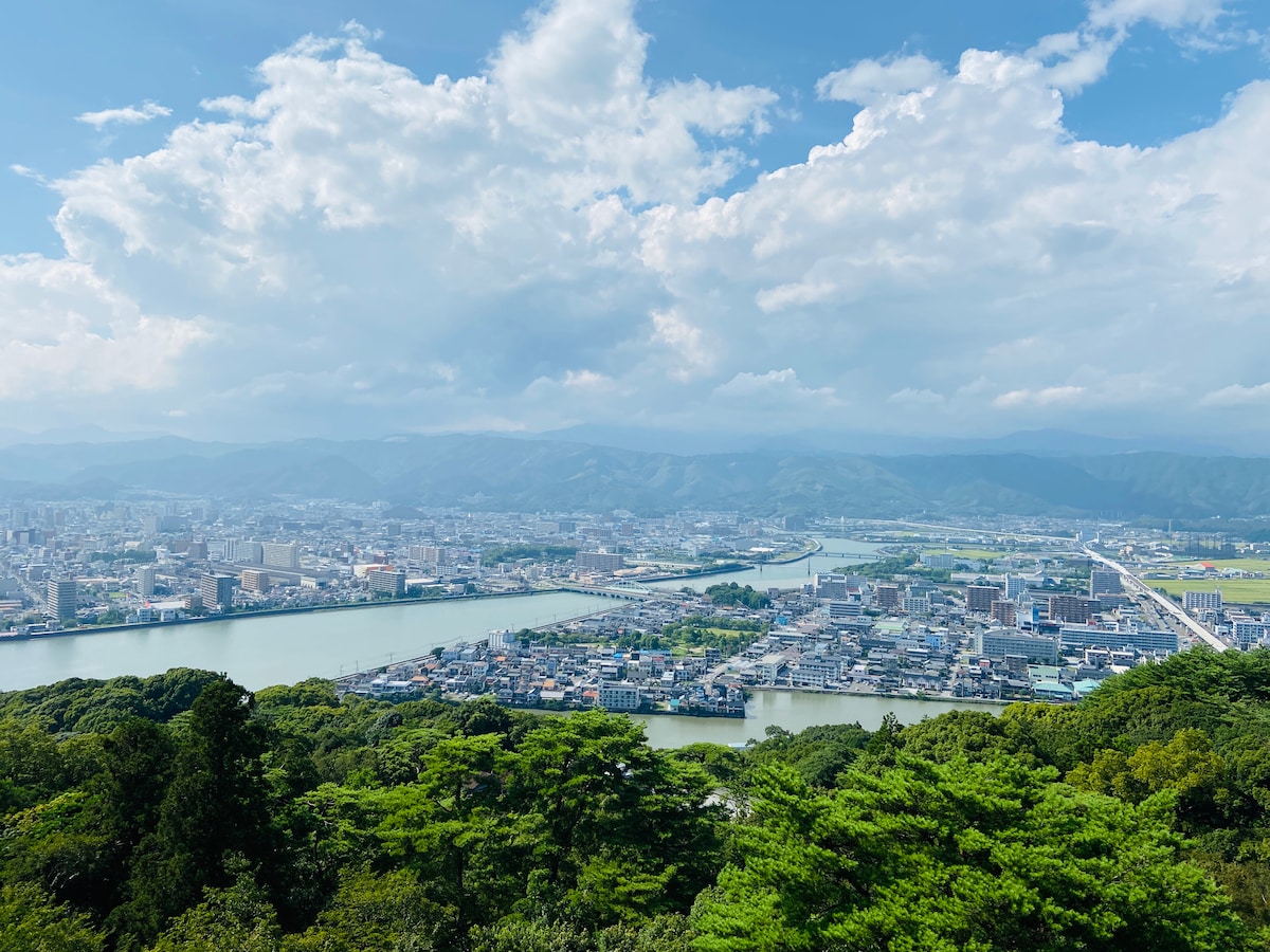 Explore Kochi Castle and Market with a Local Guide