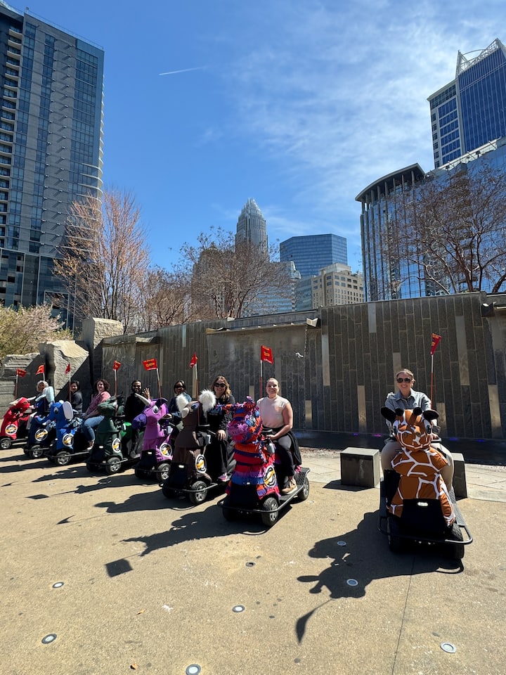 შარლოტის პანორამა და ქუჩები: ელექტროველოსიპედებით