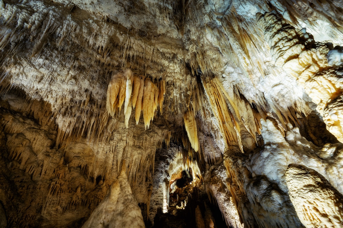 Waitomo Caves & Rotorua including Te Puia Day Tour