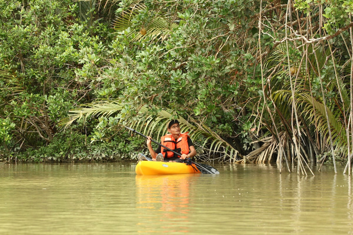 Kayak through mangroves along the Lebam River