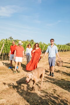 Spend a day on a Tuscan farm with lunch and a swim