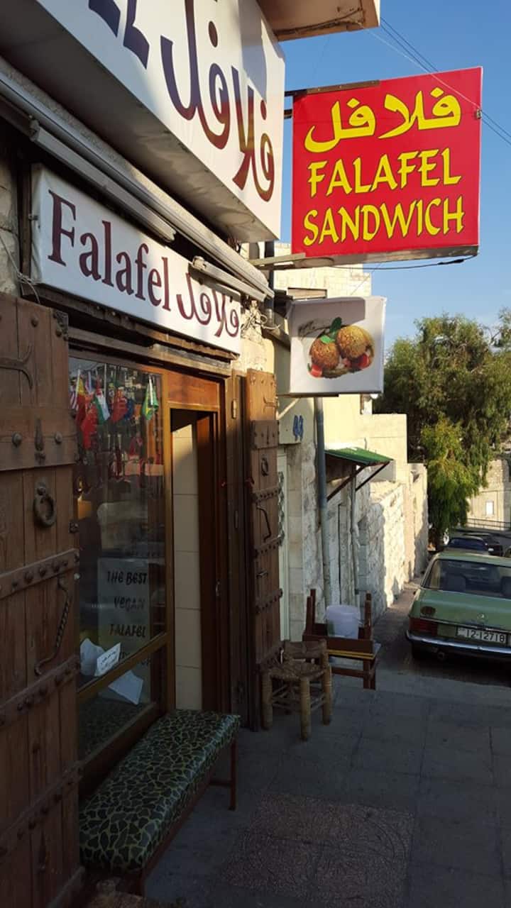 Middle Eastern cuisine experience