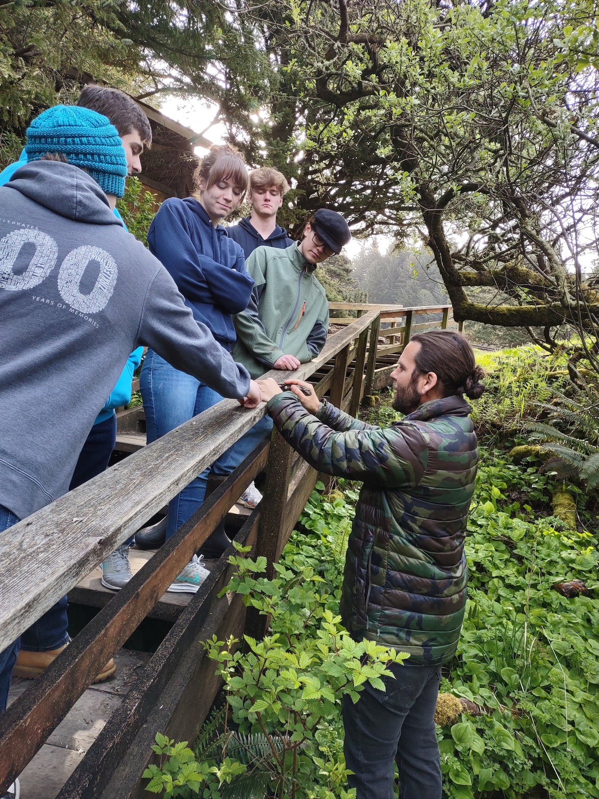 Guided Hike With A Professional Forager