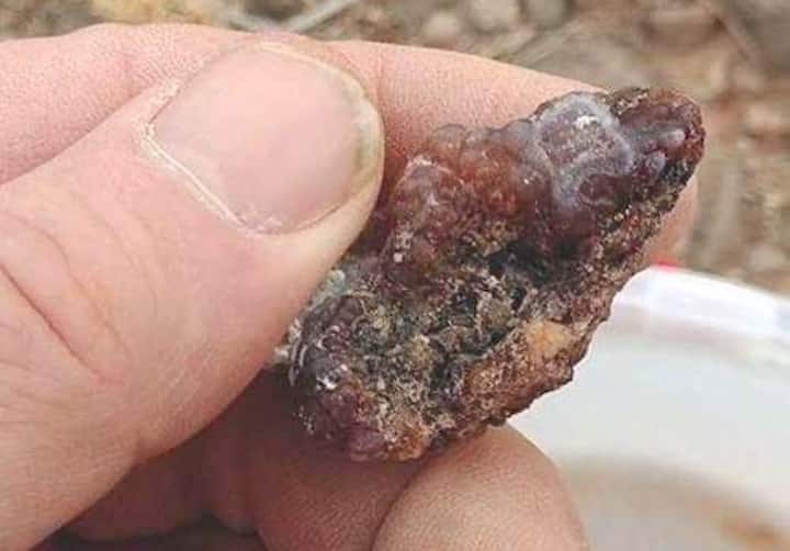 Warsha ya Elimu ya Uwindaji wa Mawe