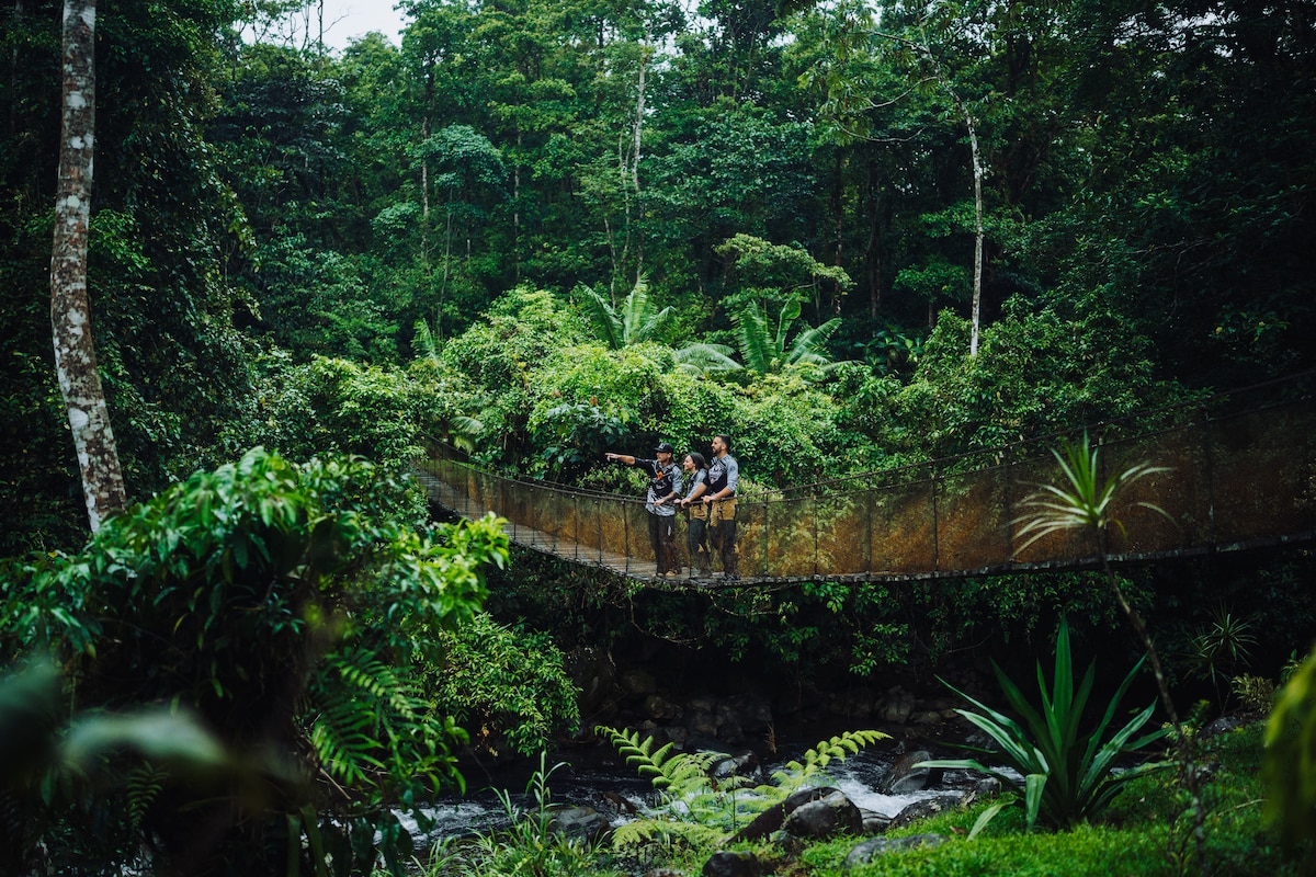 Blue Morpho Waterfall Hike in Rincon de la Vieja