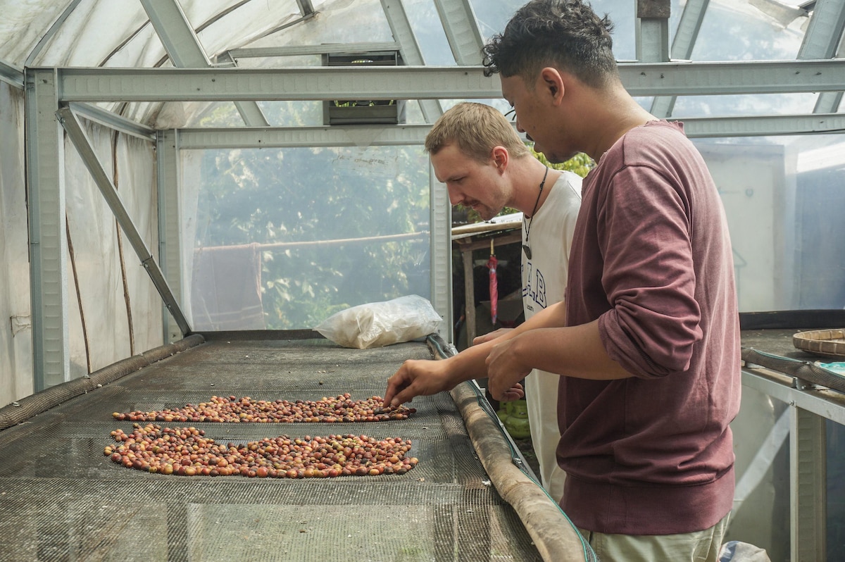 Lombok Coffee Tour With Tasting