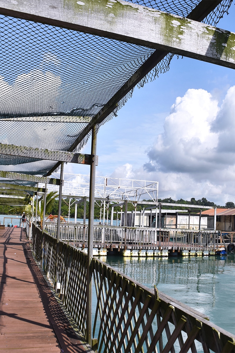 Explore Singapores Kelongs