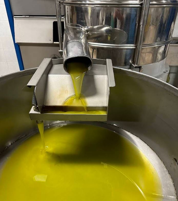 From olives to oil: experience the magic of the oil mill