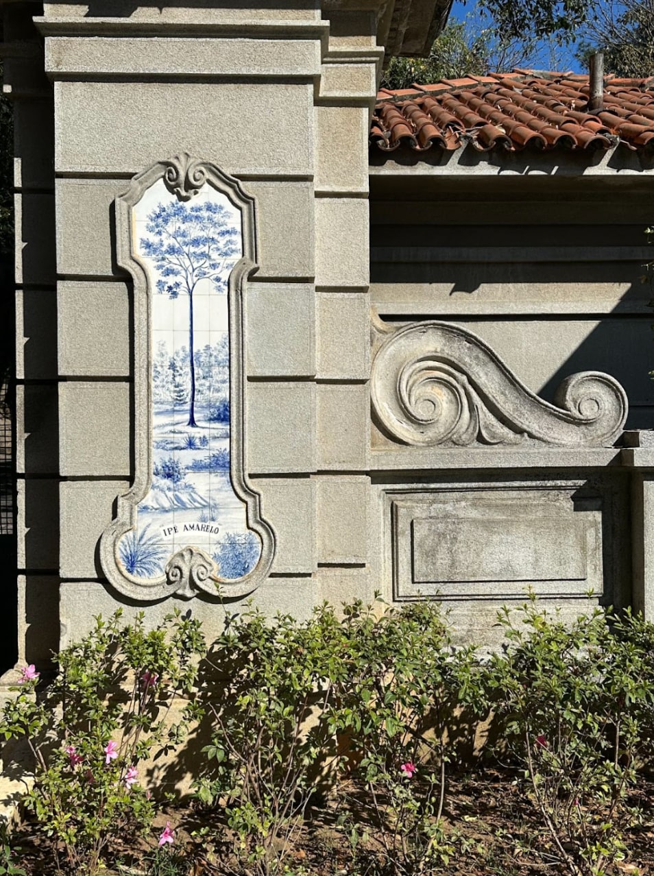 Stroll through Horto Florestal with a botanist