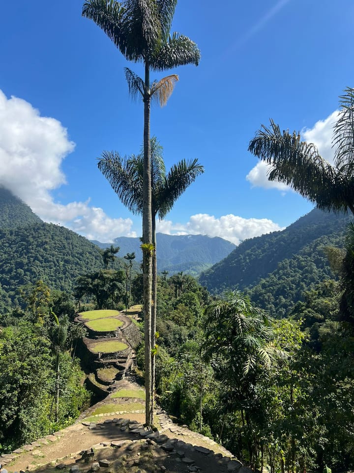 Kadunud linn, Tayrona esivanemate aare