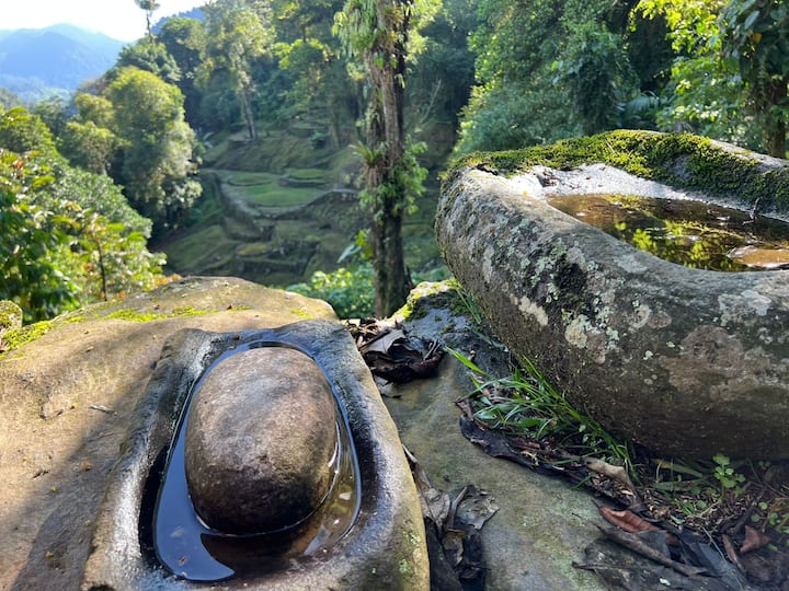 Kadunud linn, Tayrona esivanemate aare