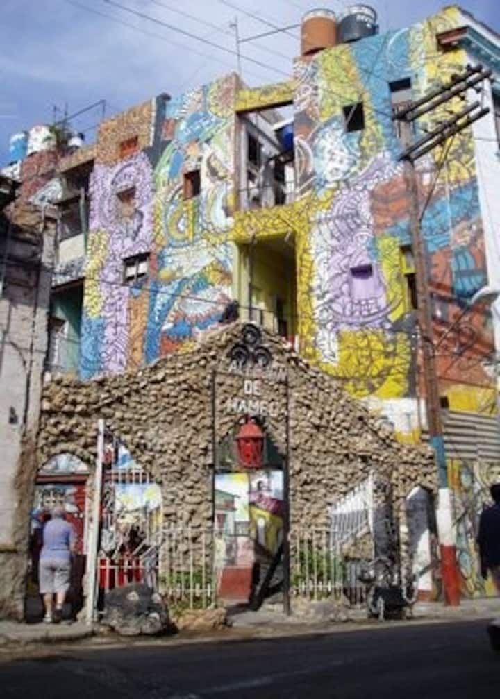 Цвят, румба и история